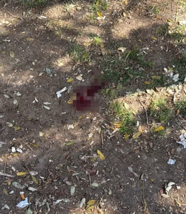 Eskişehir'de parkta oturan vatandaşa döner bıçaklı saldırı