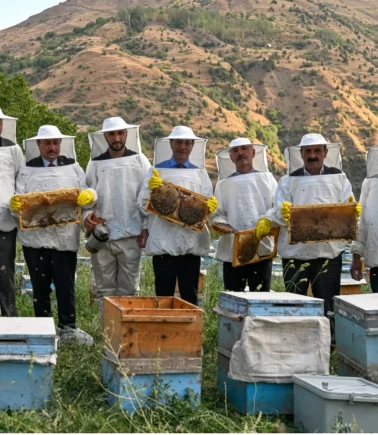 Van’da 2 bin 700 metre rakımda bal hasadı başladı