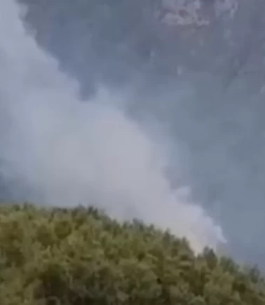 Hatay’da korkutan orman yangını: Ekipler seferber oldu