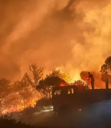 Antalya, Mersin ve Adana yangınlarında son durum!