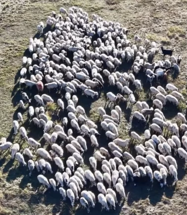 Tunceli'de aylık 150 bin TL maaşa çalışan bulamıyorlar!