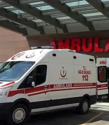 Kütahya'da alevlere teslim olan ahırda can pazarı