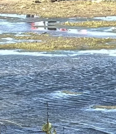 Edirne'de Meriç Nehri'nde sır ölüm!