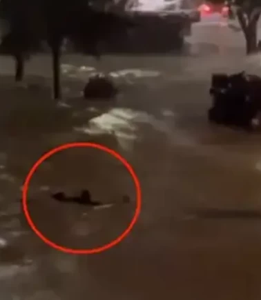 Sarıyer’de akıntıya kapılan kişi hayatta kalmak için yüzdü
