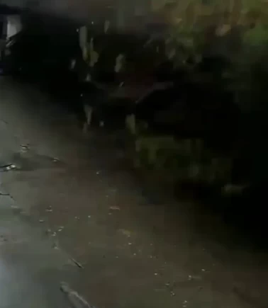Zonguldak'ta istinat duvarı böyle çöktü