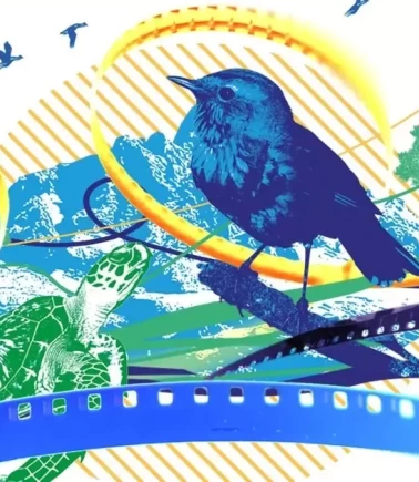 COP31 İklim Kısa Film Yarışması'nın jürisi belli oldu