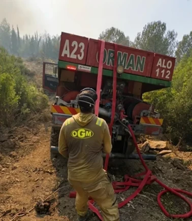 Orman Genel Müdürlüğü personel alımı yapıyor!