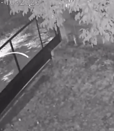 Saimbeyli'deki 4,4'lük deprem anı kamerada
