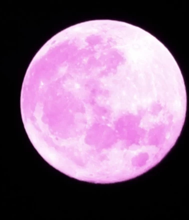 Gökyüzüne bakmayı Unutmayın! Pembe dolunay zirveye ulaşıyor