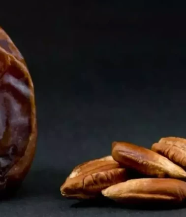 Hurma çekirdeğinin faydaları neler?