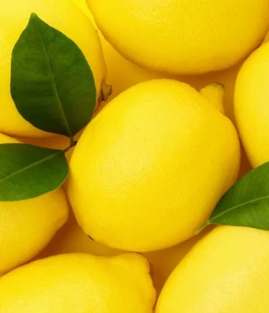 En popüler yerli ve egzotik limon çeşitleri