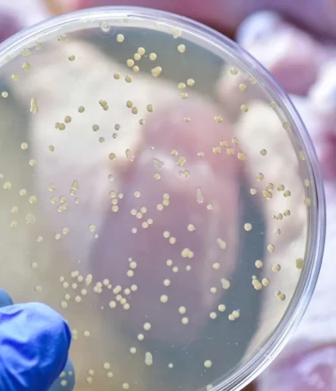 Uzmanlardan kritik uyarı!