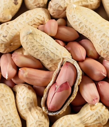 Yer fıstığı hakkında ilk kez duyacağınız 6 şaşırtıcı gerçek