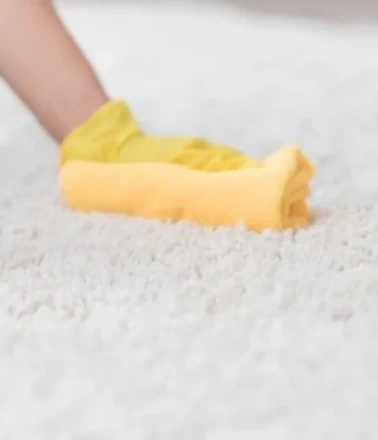 Adım adım halı temizliği: Mikrofiber bez ve doğal karışımın gücü