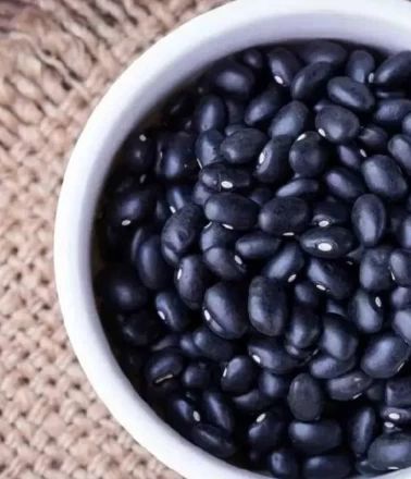 Uzman isim Dr. Catherine Metzgar açıkladı: