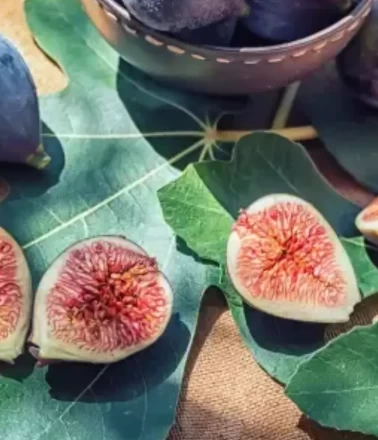 En popüler yerli incir çeşitleri ve özellikleri