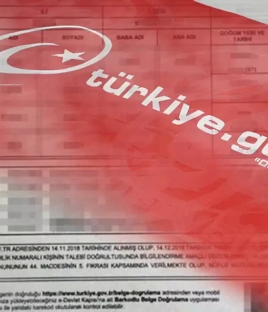 Vukuatlı nüfus kayıt örneği nedir?
