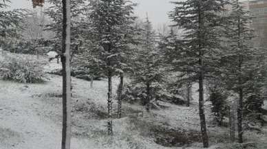 Başkentte kar yağışı