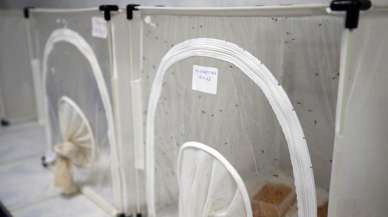 Asya kaplan sivrisineği alarmı! Ege ve Akdeniz'de yayılıyor