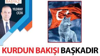 Kurdun bakışı başkadır