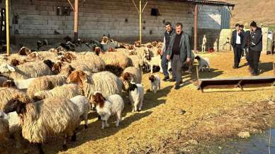 Deprem bölgesinde yetiştiricilere 43 bin 317 küçükbaş hayvan dağıtıldı