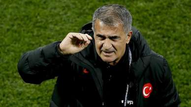 Şenol Güneş'e Azerbaycan'ın ardından yeni talip