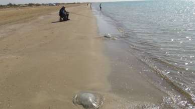 Akdeniz sahillerinde kırmızı alarm