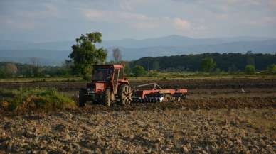 Sinop'ta çeltik ekimine başlandı