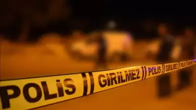 Ağabeyini başına odunla vurarak öldürdü!