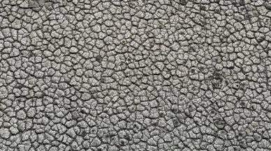 İstanbul'da barajlar alarm veriyor