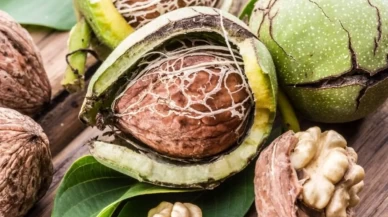 Cevizin bu etkisini kimse tahmin etmiyordu