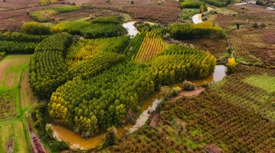 Acarlar Longozu ve Melen Havzası sonbahar renkleriyle büyülüyor!