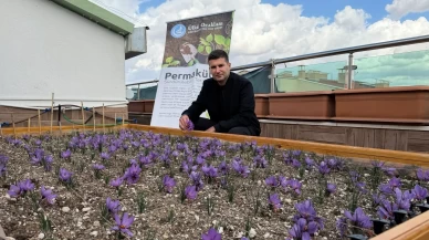 Ahmet Yiğit Yıldırım paylaştı: Safranın bereketi ve huzuru Ülkü Ocakları terasında buluştu