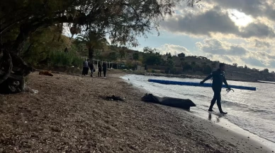 Bodrum açıklarında feci göçmen faciası: Valilik açıkladı, ölü sayısı 14’e yükseldi