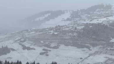 Doğu Karadeniz'in yüksek kesimleri beyaza büründü