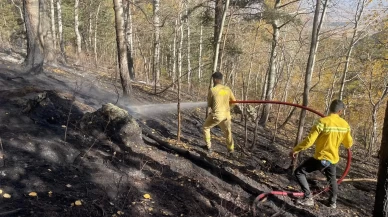 Sarıkamış'ta orman yangını