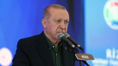Cumhurbaşkanı Erdoğan, Ali Mahir Başarır'a tazminat davası açtı