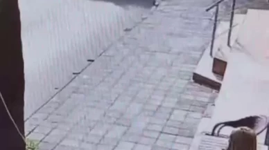 Maltepe’de yolun karşısına geçen kadına minibüs çarptı: Kaza anı kamerada