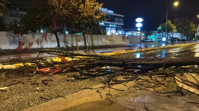 Edirne'de sağanak hayatı olumsuz etkiliyor