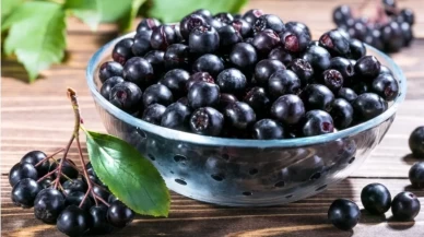 Aronya’nın bilinmeyen etkileri