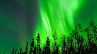 Alaska’da büyüleyici Kuzey Işıkları gecesi