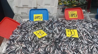 Edirne'de hamsi bolluğu!