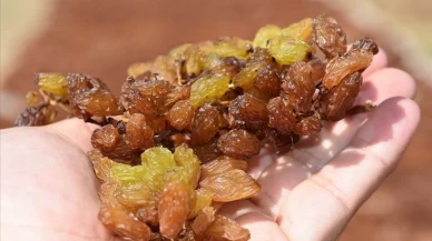 Faydasını öğrenen yemeden duramıyor