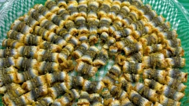 MasterChef’te çok konuşulan Hamsi Sarma tarifi! Şef Erşan Yılmaz’dan tüm aşamalarıyla nefis tarif