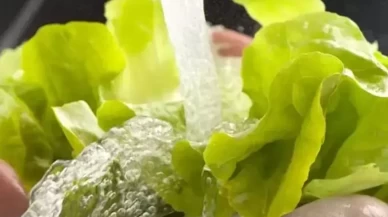 Sebzeler neden karbonatlı suda bekletilir?