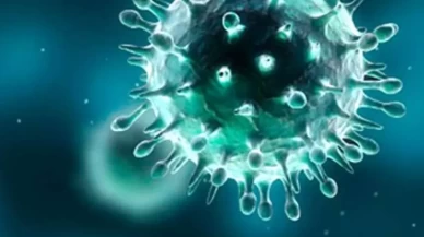 Bağışıklık sistemini destekleyen en etkili meyve! Vücuttaki iltihabı da azaltıyor