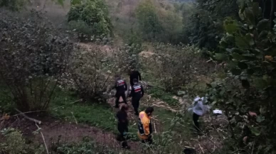 Ordu’da uçuruma yuvanlanan tarım aracının altında kalan sürücü hayatını kaybetti