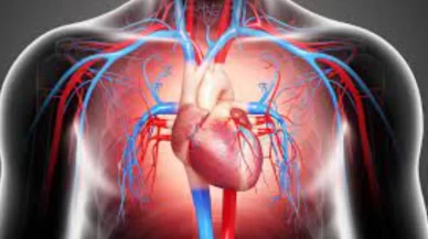 Küf hastalığının ilk belirtisi bakın neymiş!