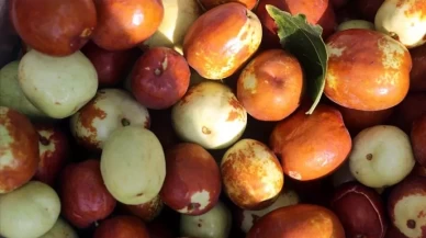 Bağışıklığı güçlendiren ve uyku kalitesini artıran süper meyve