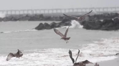 New York kentinde fırtına ve sağanak yağış etkili